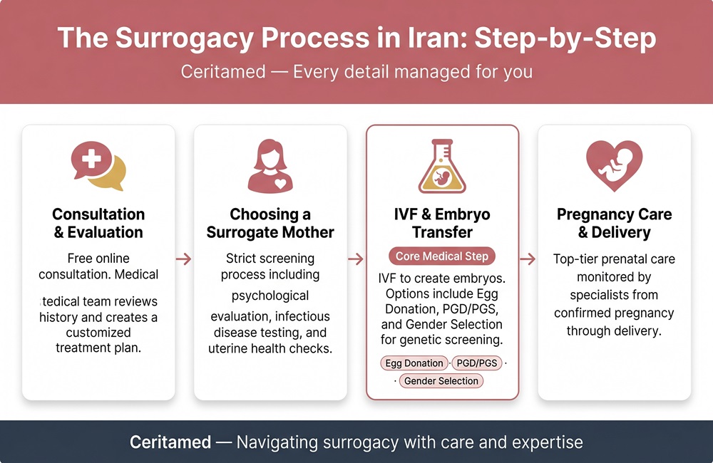 Infographic showing the complete step-by-step surrogacy process in Iran from consultation and IVF to pregnancy care and delivery.