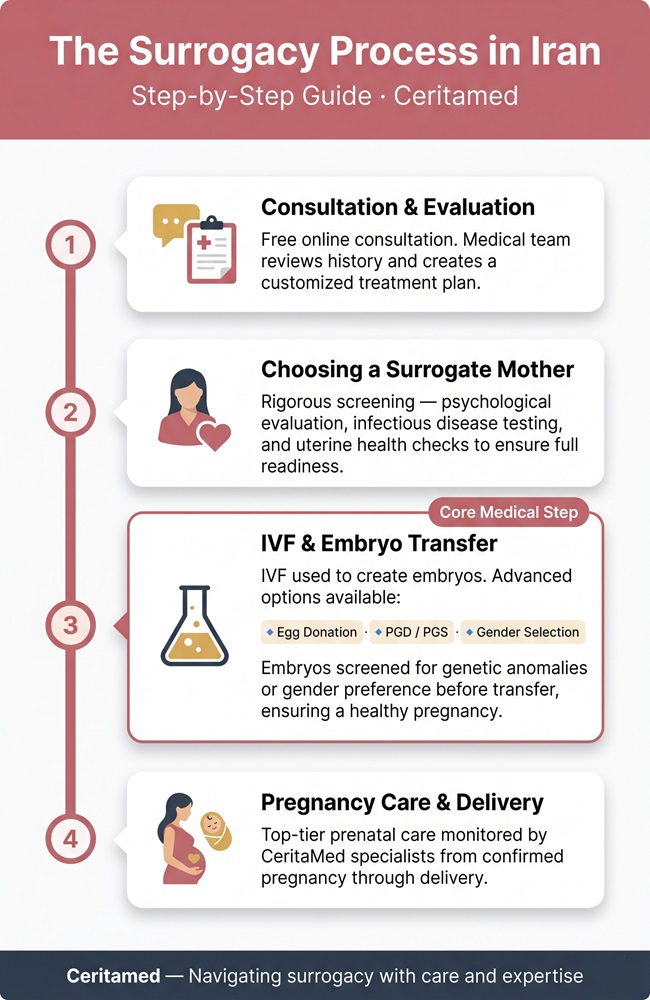 Infographic showing the complete step-by-step surrogacy process in Iran from consultation and IVF to pregnancy care and delivery.
