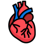 Cardiology icon