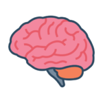 Neurosurgery icon